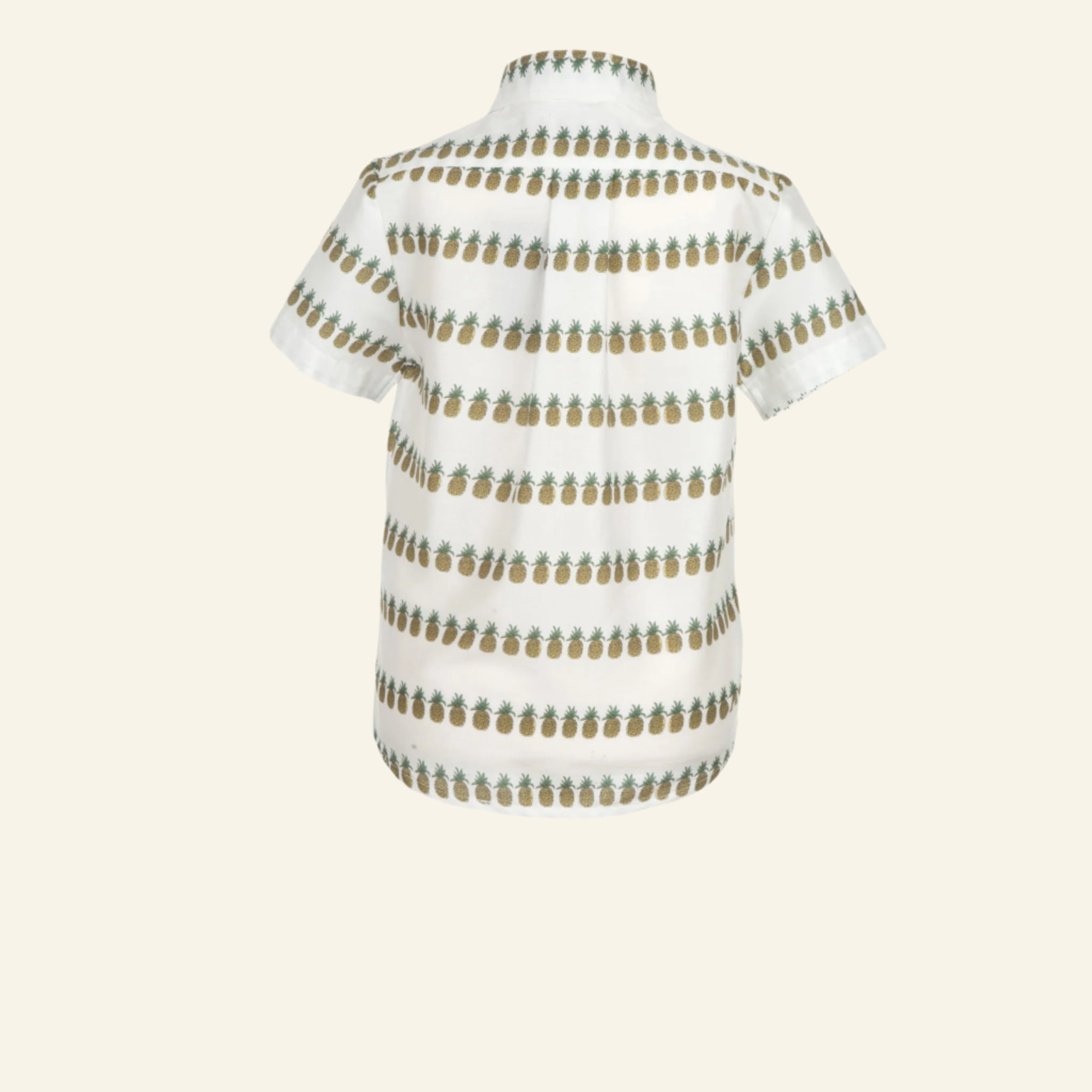 Arthur - Pineapple Heaven - Palava