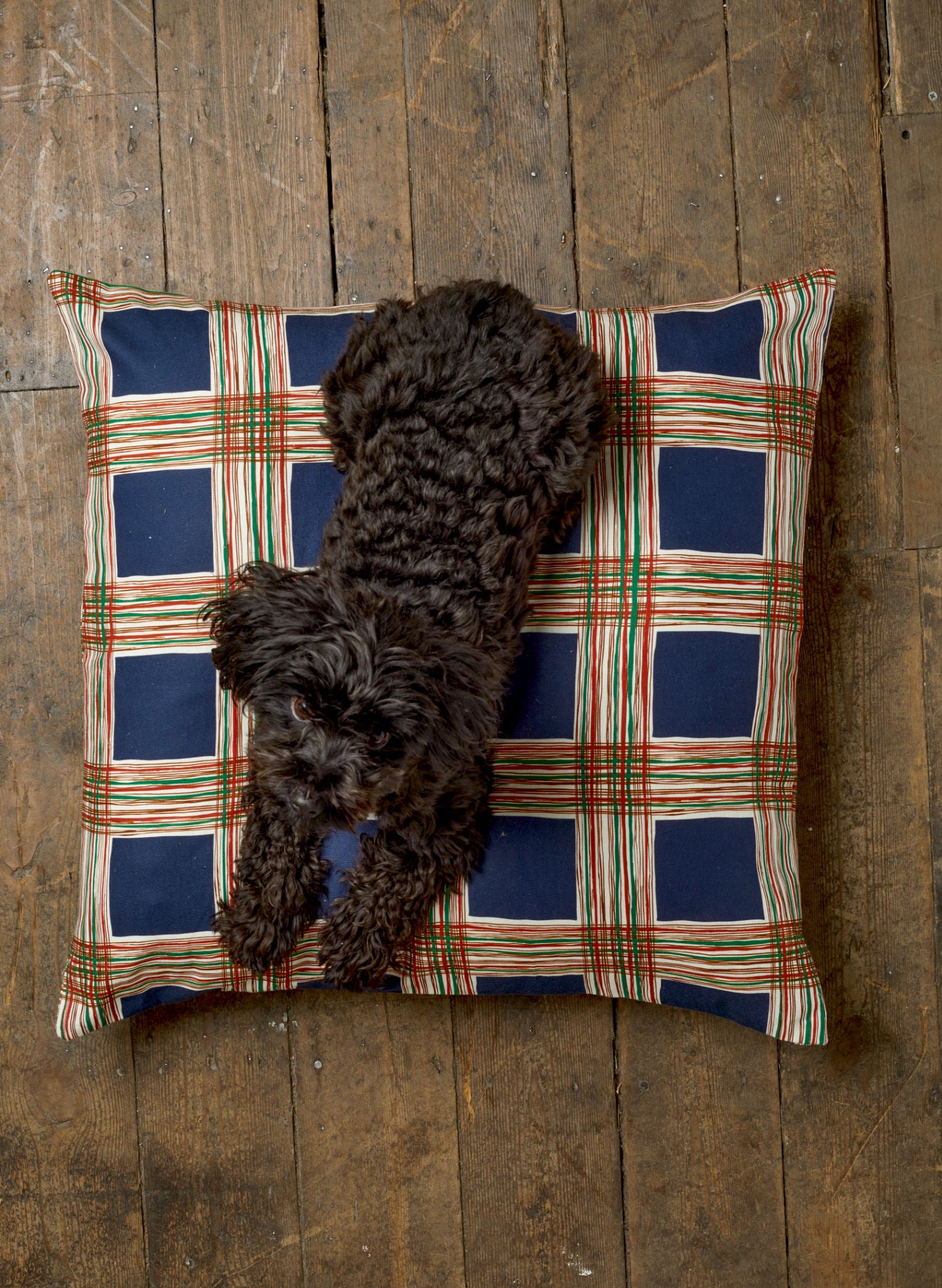 Large Cushion Cover - Navy Checks