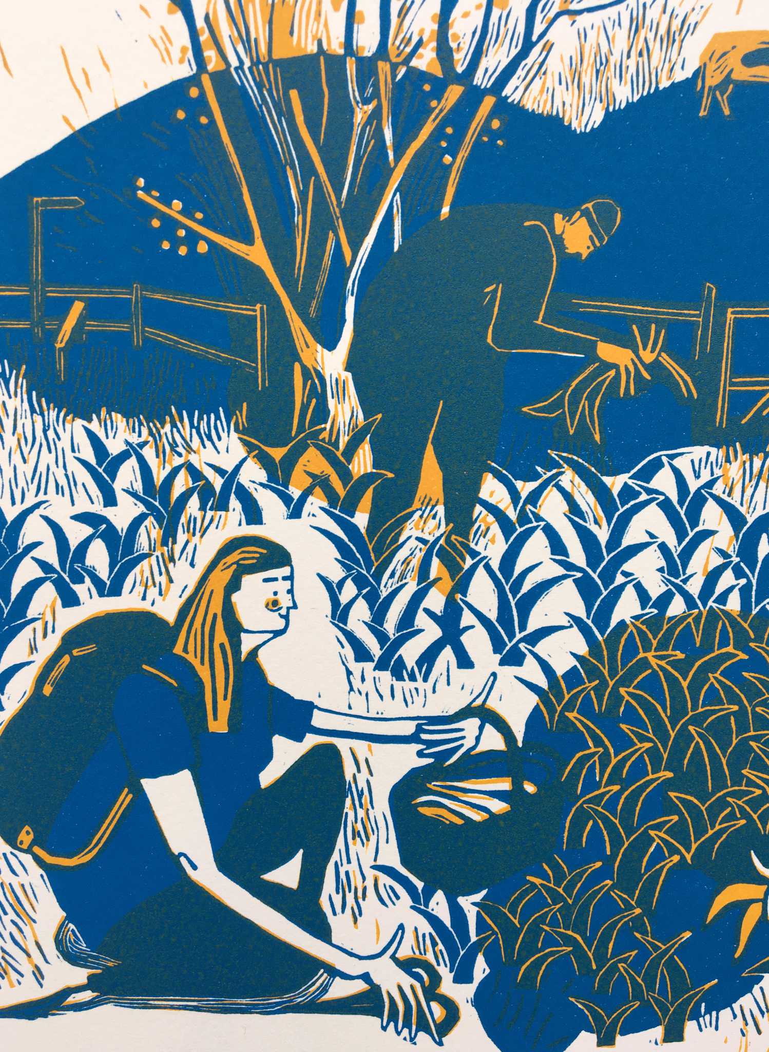 Wild Garlic Lino Print by Helen Murgatroyd