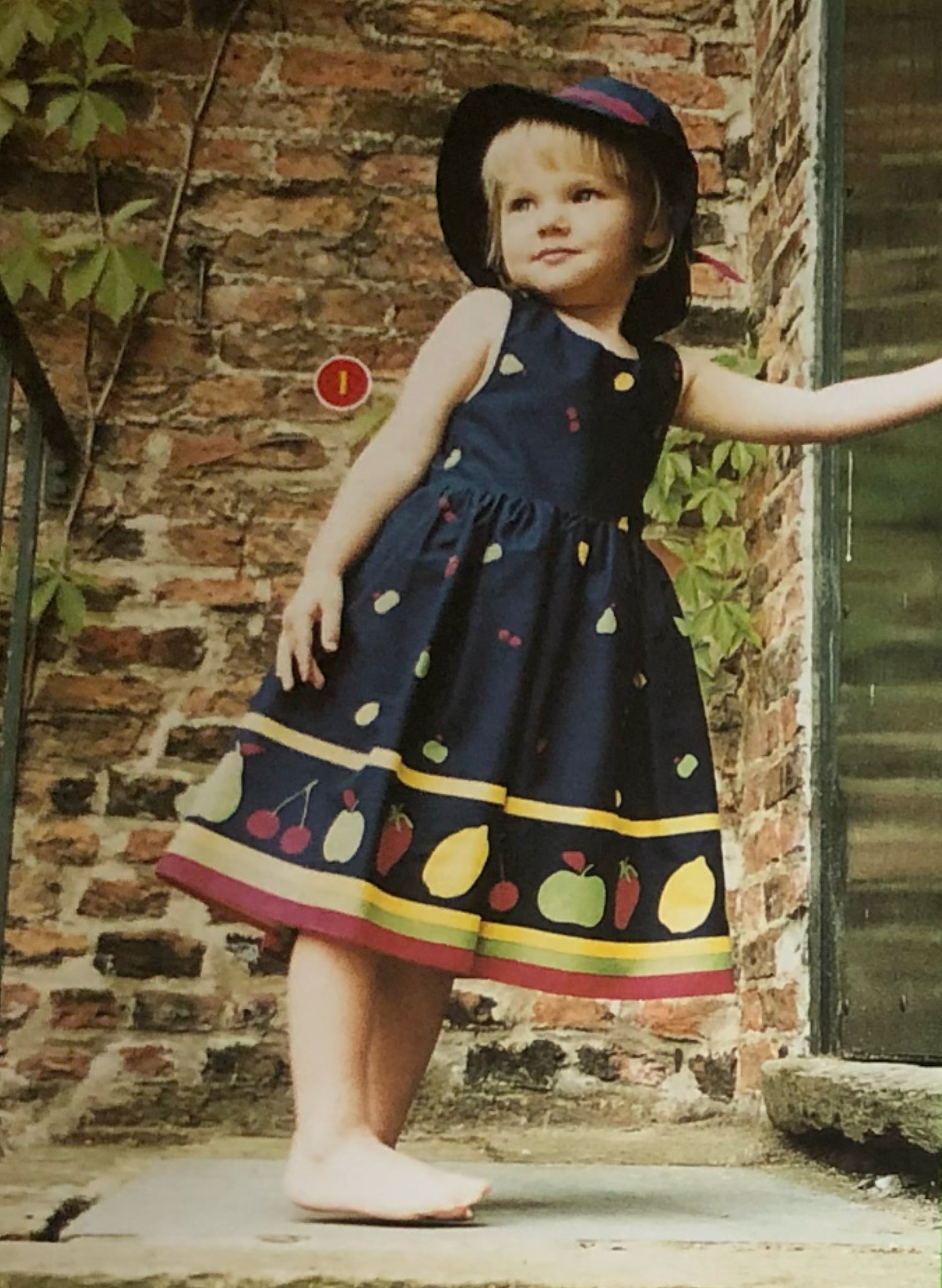 Navy Fruit - Double Border - Cotton - Fabric