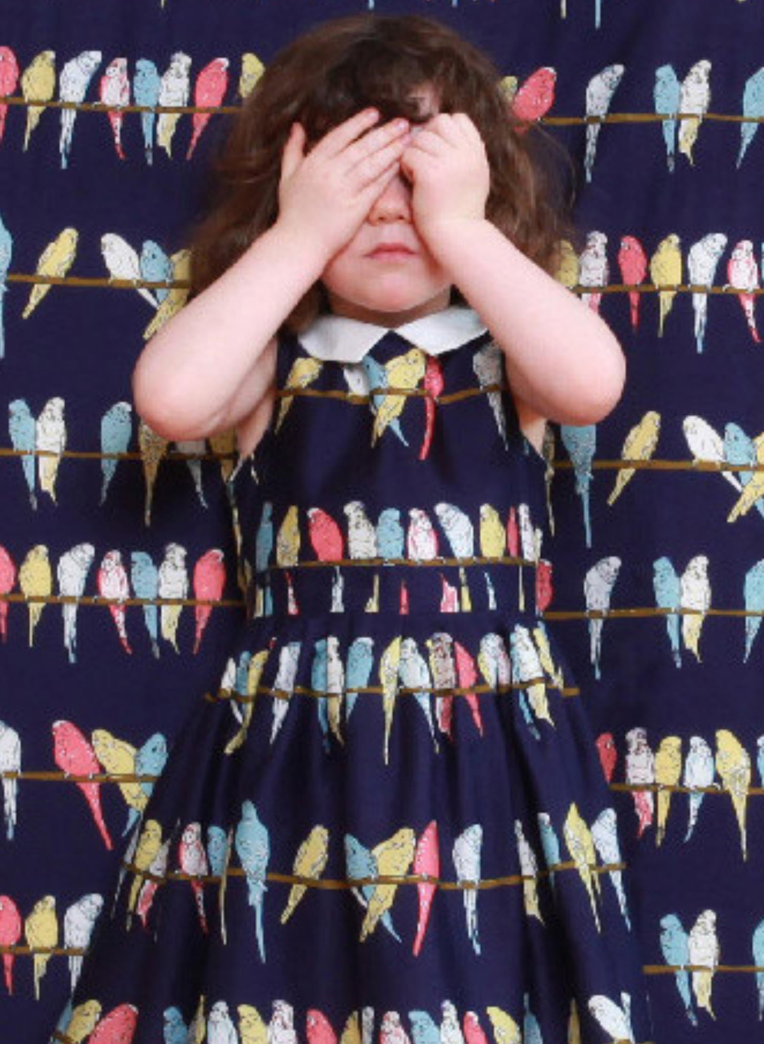 Penny Children's Dress - Navy Budgies