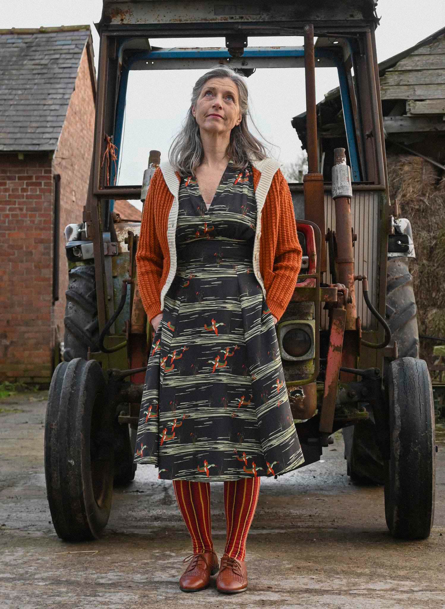 Rita Long-sleeve - Black Flying Ducks Dress