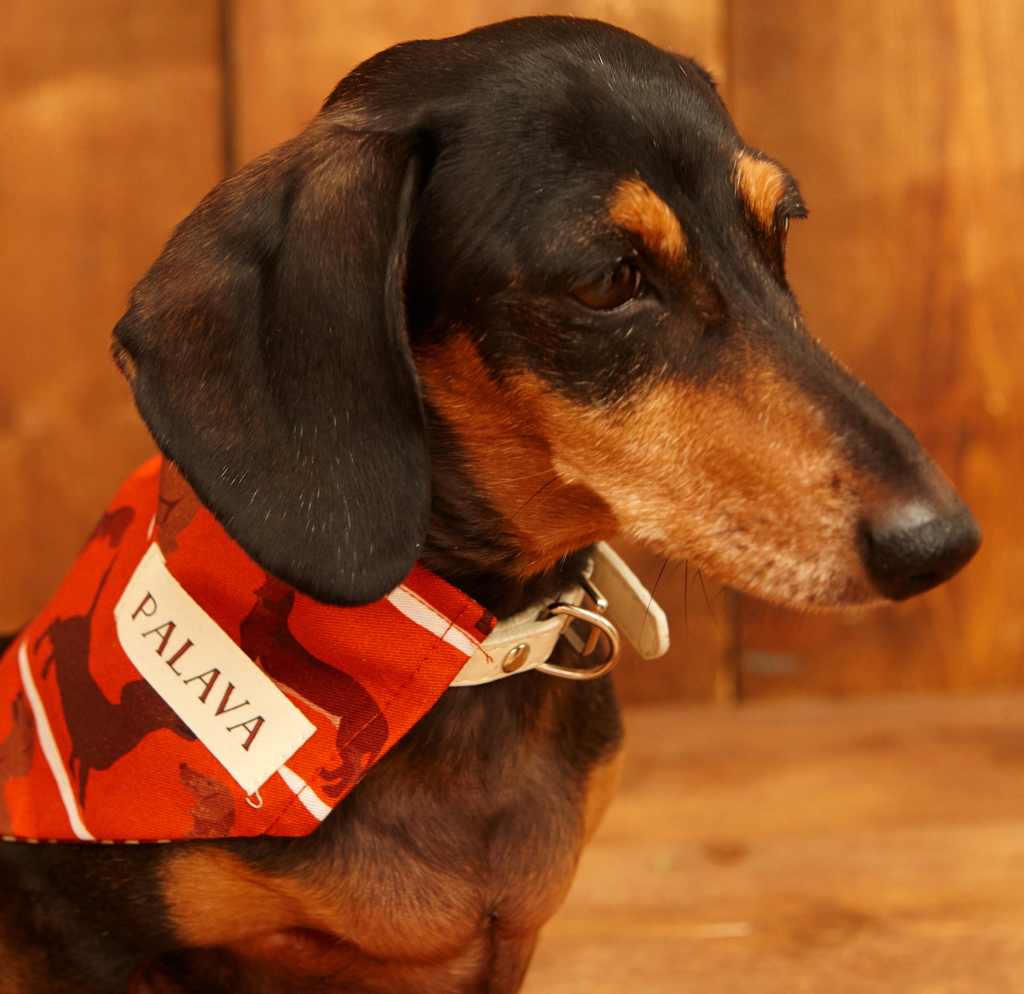 Dog Bandana - Rust Sausage Dog - Palava