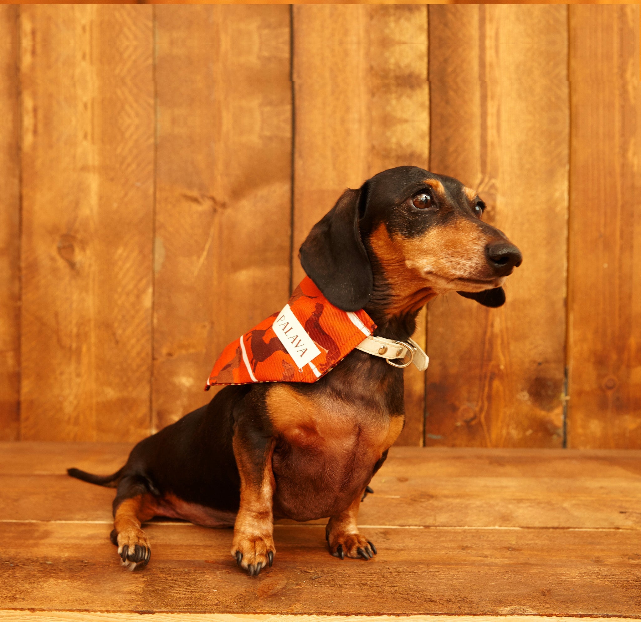 Dog Bandana - Rust Sausage Dog - Palava