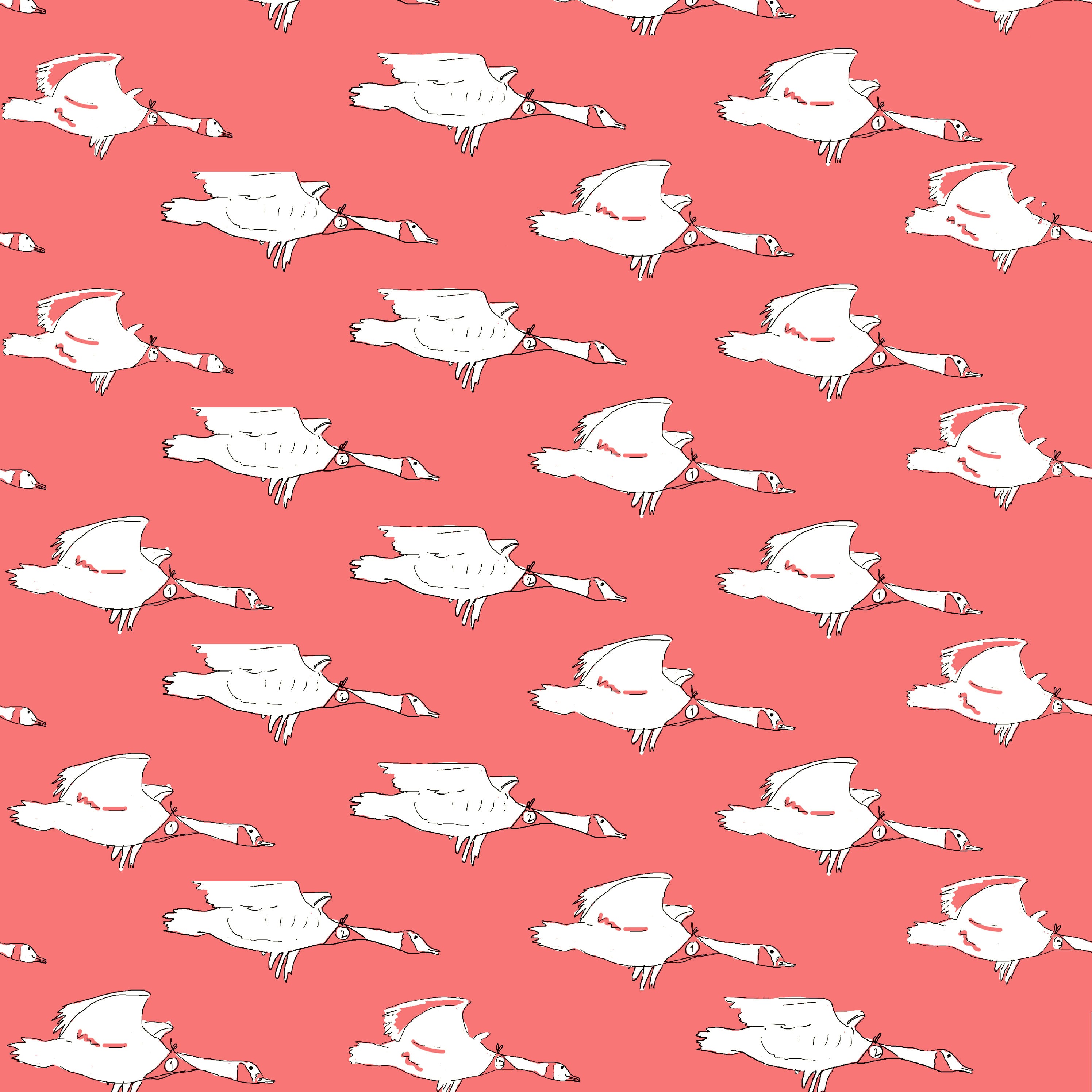 Coral Ducks Jersey Fabric - Cotton