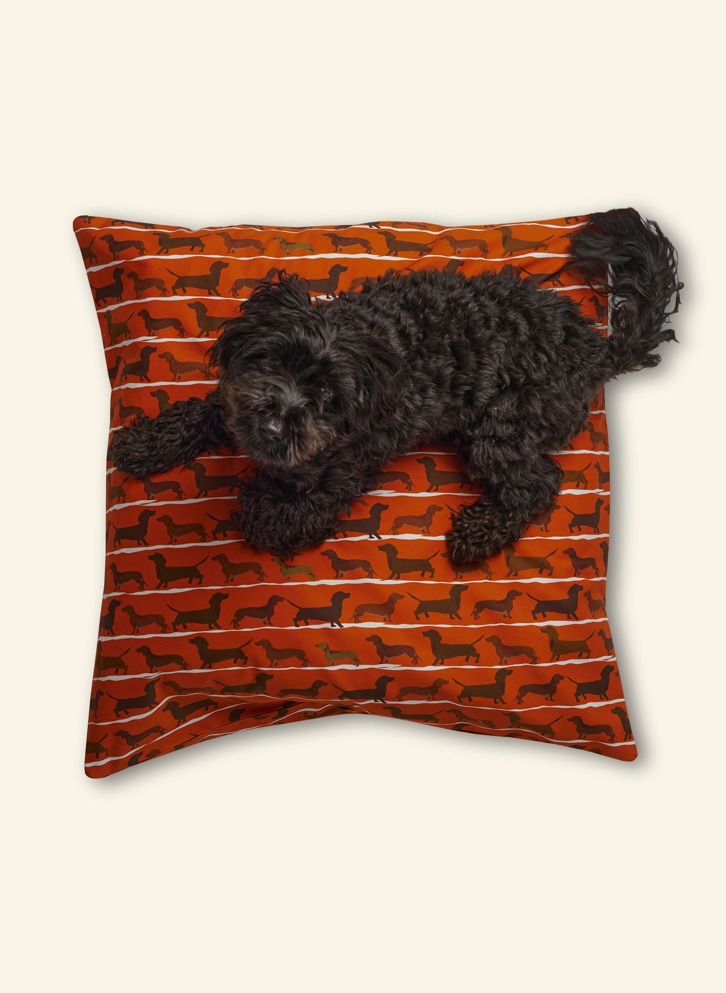 Large Cushion Cover - Rust Sausage Dog