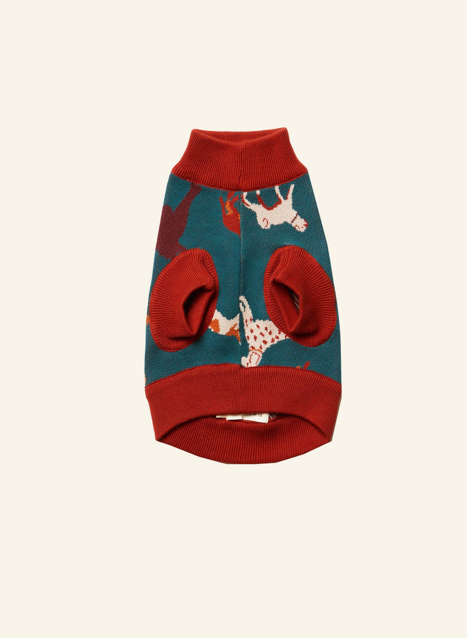 Rodney Dog Jumper - Teal Woof