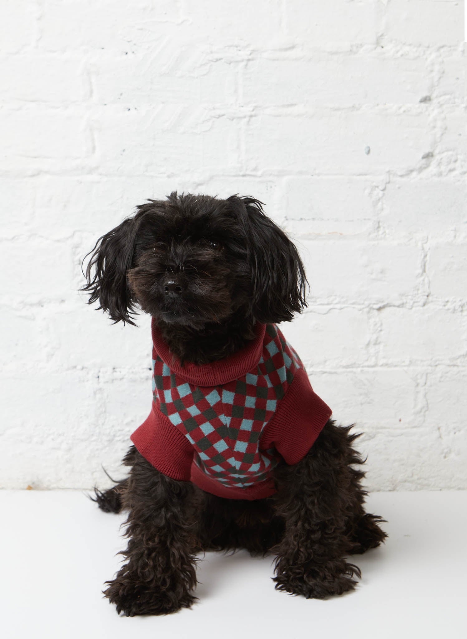 Rodney Dog Jumper - Burgundy Check